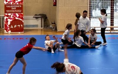 Sportski uspjesi naših učenika: gimnastika