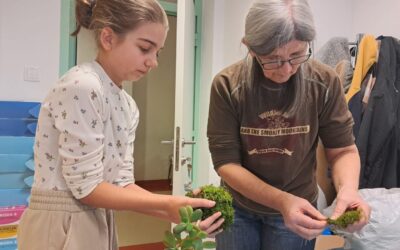 Radionica Kokedama za Male čuvare prirode