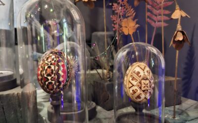 Terenska avantura petaša: od Arheološki muzej u Zagrebu do Muzej zaboravljenih priča