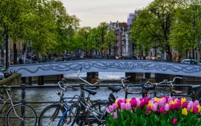 Javni poziv učenicima sedmih razreda Osnovne škole Vladimir Deščak za sudjelovanje u projektu Međunarodna suradnja s Kraljevinom Nizozemskom- Hrvatska nastava u inozemstvu u školskoj godini 2025./2026.