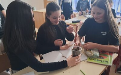 Predavanje o oprašivačima